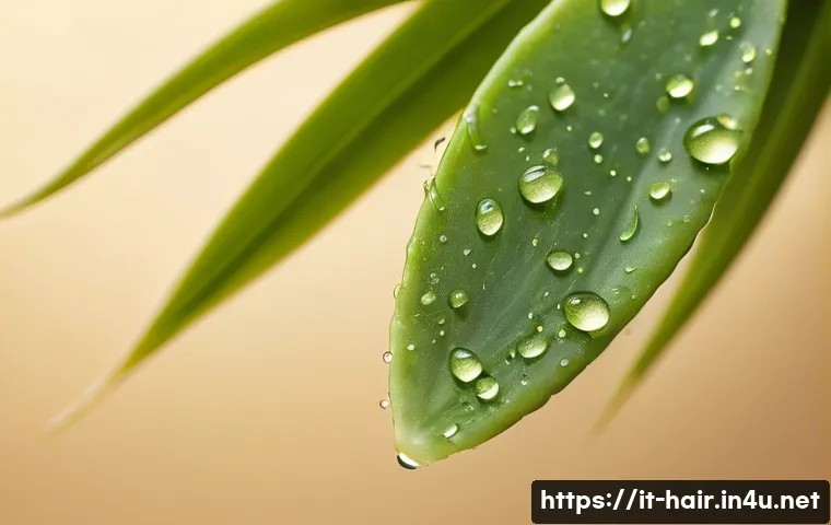 열 보호 기능 있는 헤어 스프레이 관련 이미지 2